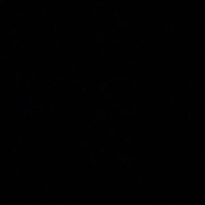 Meet your Posher, Daniela